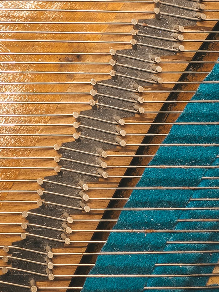 Detailed view of piano strings and hammers, showcasing the intricate design and craftsmanship.